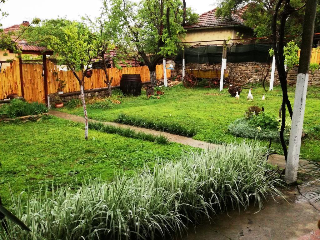 Divna Guest House كروشونا المظهر الخارجي الصورة