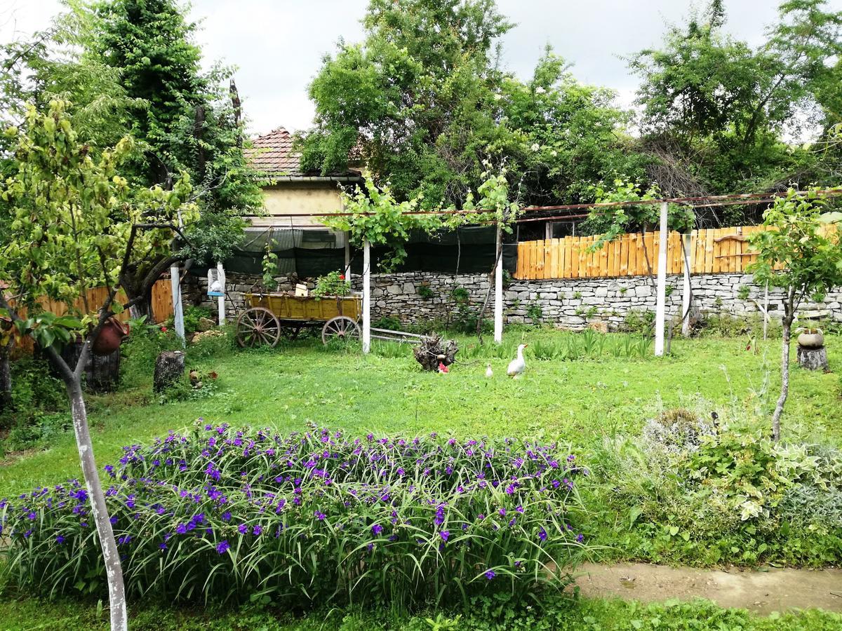 Divna Guest House كروشونا المظهر الخارجي الصورة