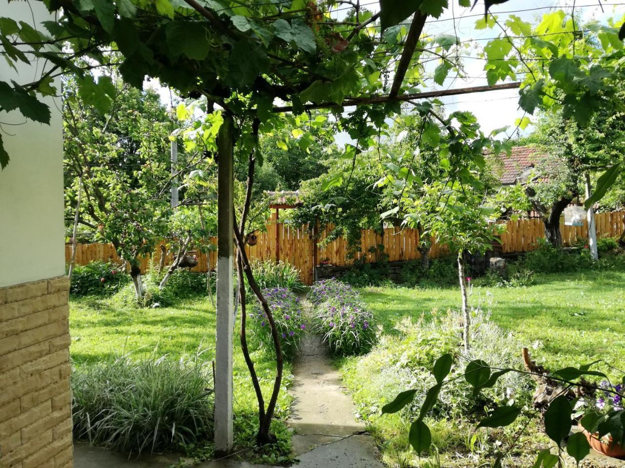 Divna Guest House كروشونا المظهر الخارجي الصورة